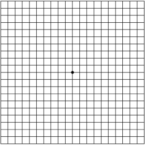 A 20 by 20 square grid with a black dot in the center.