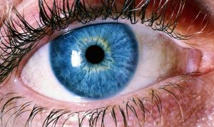 Close up of a human eye with a blue iris.