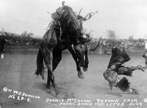 Bonnie McCarrol Thrown from Silver