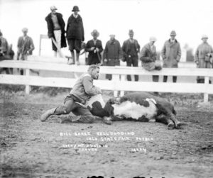 Bulldogging a Steer