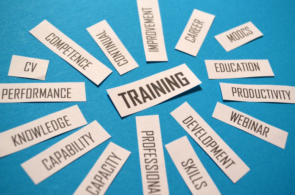 Word "training" in center of circle with synonyms around it