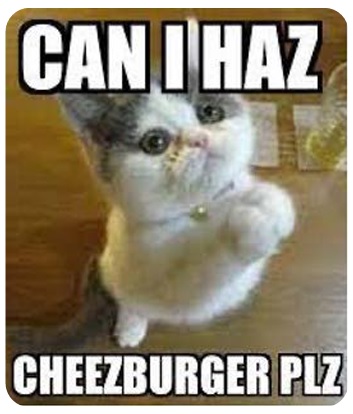 Figure 1. An image of a small, gray and white kitten standing on its hind legs and looking up at the photographer, with the words “CAN I HAZ” placed at the top of the photo, and “CHEEZBURGER PLZ” at the bottom of the photo.