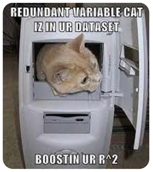 Figure 2. A brown cat who has apparently crawled inside of a computer tower pokes its head out, with the words “REDUNDANT VARIABLE CAT IZ IN UR DATASET” placed at the top of the photo, and “BOOSTIN UR R^2” at the bottom of the photo (https://tinyurl.com/mr3fxudy).
