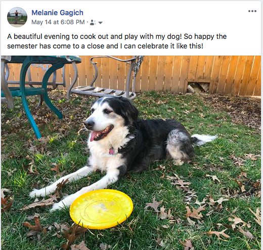 Figure 1. Photo of my dog taken from my Facebook page that represents the visual mode.