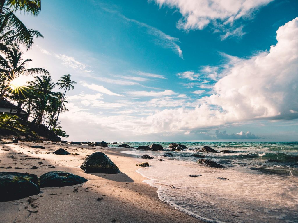 a color photograph of a rocky beach with bright blue sky, idyllic clouds, calm blue water, and sun rays peeking through picturesque palm trees—demonstrating the persuasive appeal of a photograph
