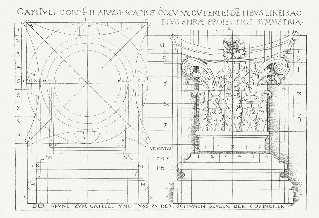 an architectural drawing of a corinthian column showing the curling leaves and scrollwork at the top as well as geometric dimensions and ratios of the base and its many layers
