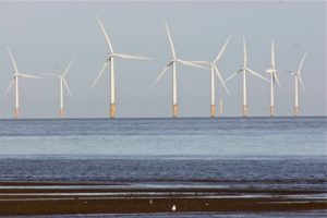 Photograph of wind turbines at sea.