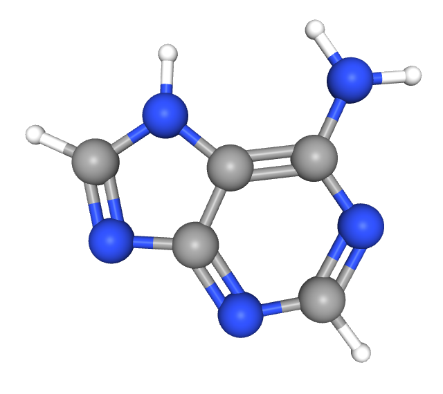 Ball-and-stick model of the adenine molecule.