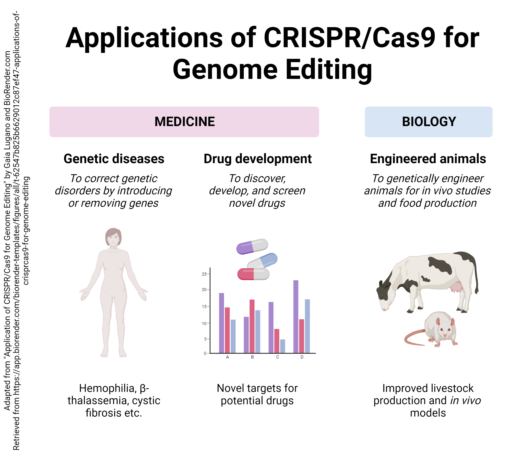 Infographic showing applications of CRISPR technology.