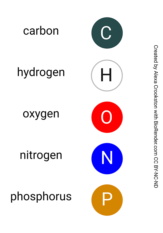 Corey-Pauling-Koltun color coding system for common organic elements.