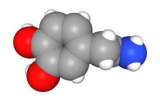Space-filling model of dopamine molecule.