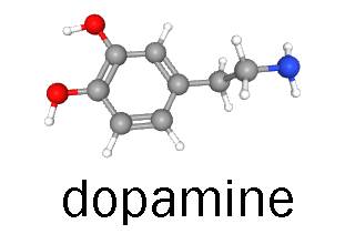 Ball and stick model of the dopamine molecule.