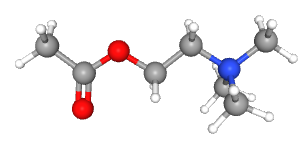 Ball-and-stick model of acetylcholine.