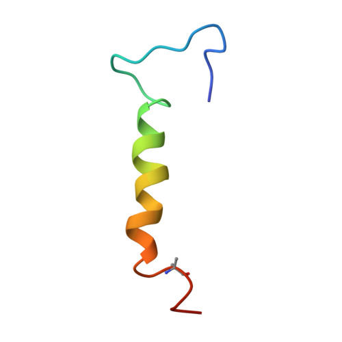 Illustration showing the structure of neuropeptide Y (NPY).