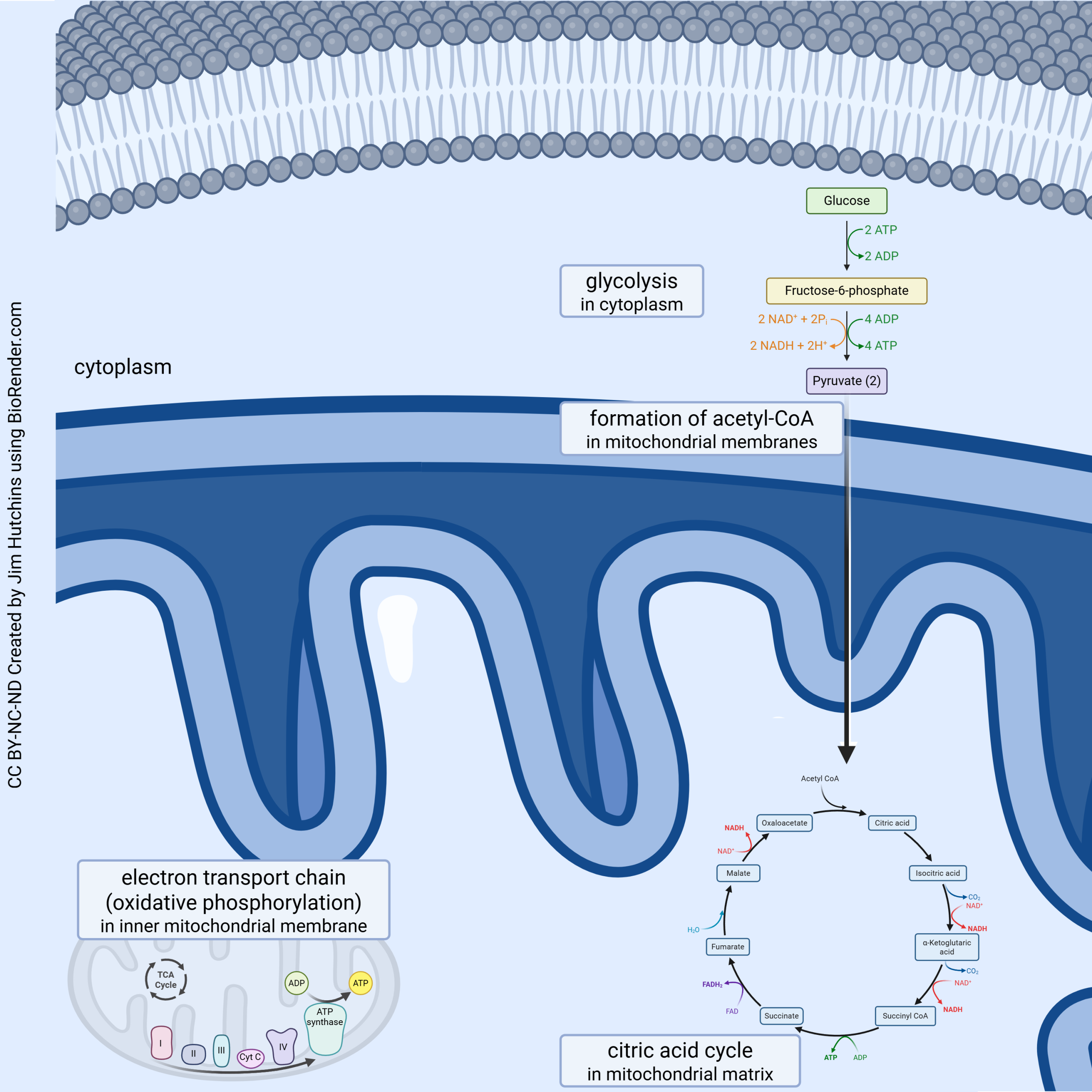 Diagram showing the locations where different kinds of energy production occur.