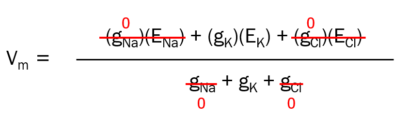 Mathematical equation showing the GHK equation if the sodium and chloride conductances are zero.