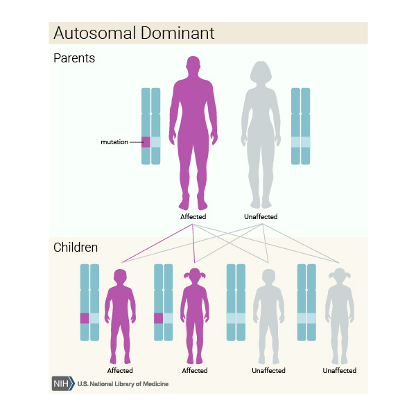 Diagram showing the inheritance pattern of Huntington disease.