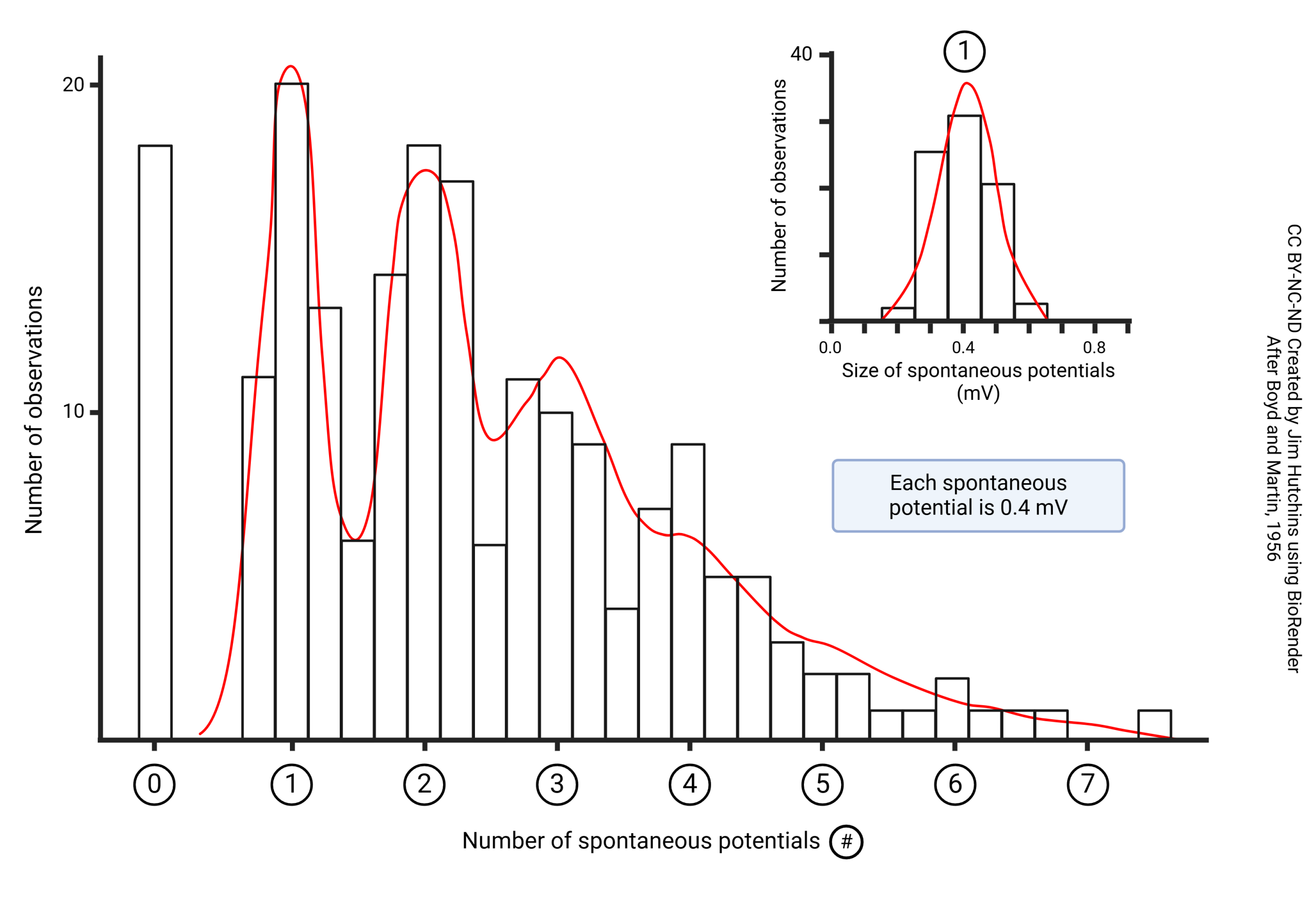 Histogram showing the distribution of spontaneous end-plate potentials is a good fit to the predicted Poisson distribution.