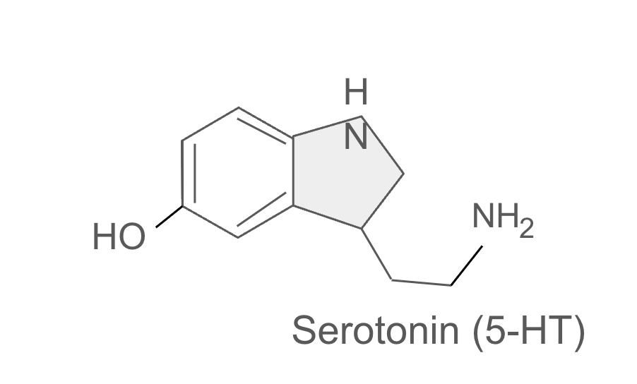Chemical structure of serotonin