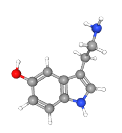 Ball-and-stick model of the serotonin molecule.