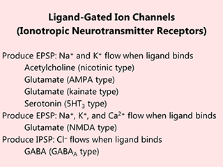 Table listing all known ionotropic receptors.