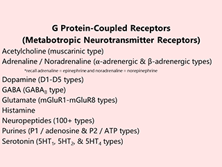 Table listing some of the metabotropic receptors.