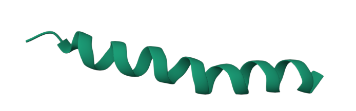 Diagram showing the structure of vasoactive intestinal polypeptide.