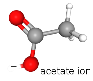 Ball-and-stick model of the acetate ion