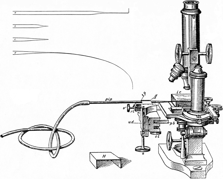 Pen-and-ink diagram describing the invention of the glass micropipette and micromanipulator (Barber, 1914).