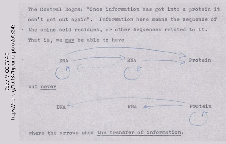 A photograph of Francis Crick's lecture notes, in which he first described what he later called The Central Dogma of Molecular Biology