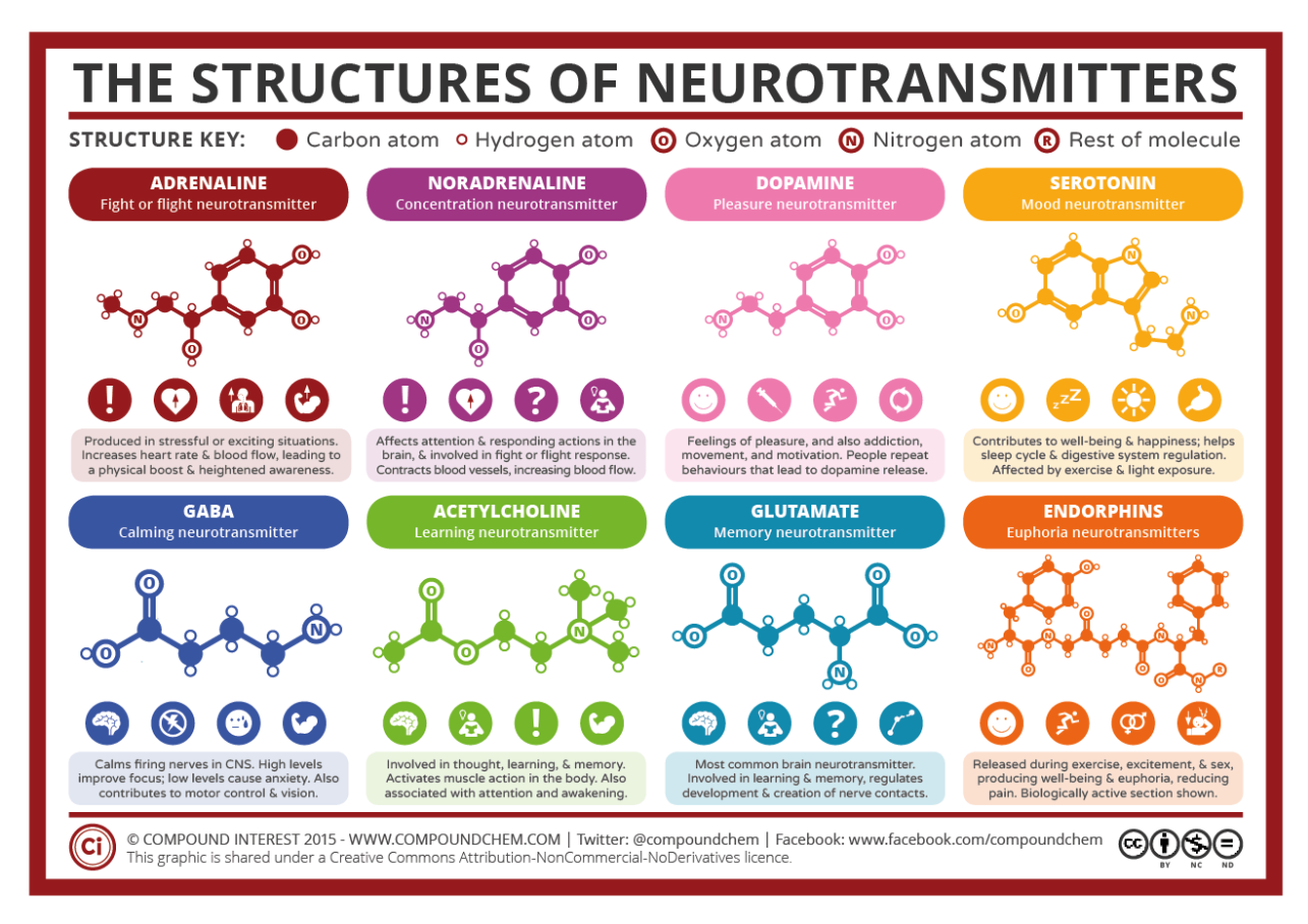 Infographic showing examples of different neurotransmitters and their chemical properties.