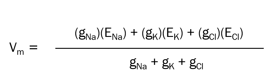 Mathematical equation discovered by Goldman, Hodgkin, and Katz.
