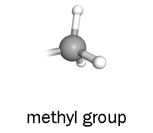 Ball-and-stick model of a methyl group