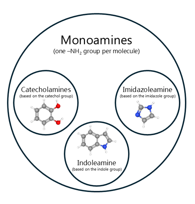 Venn diagram illustrating the classification of monoamine neurotransmitters.