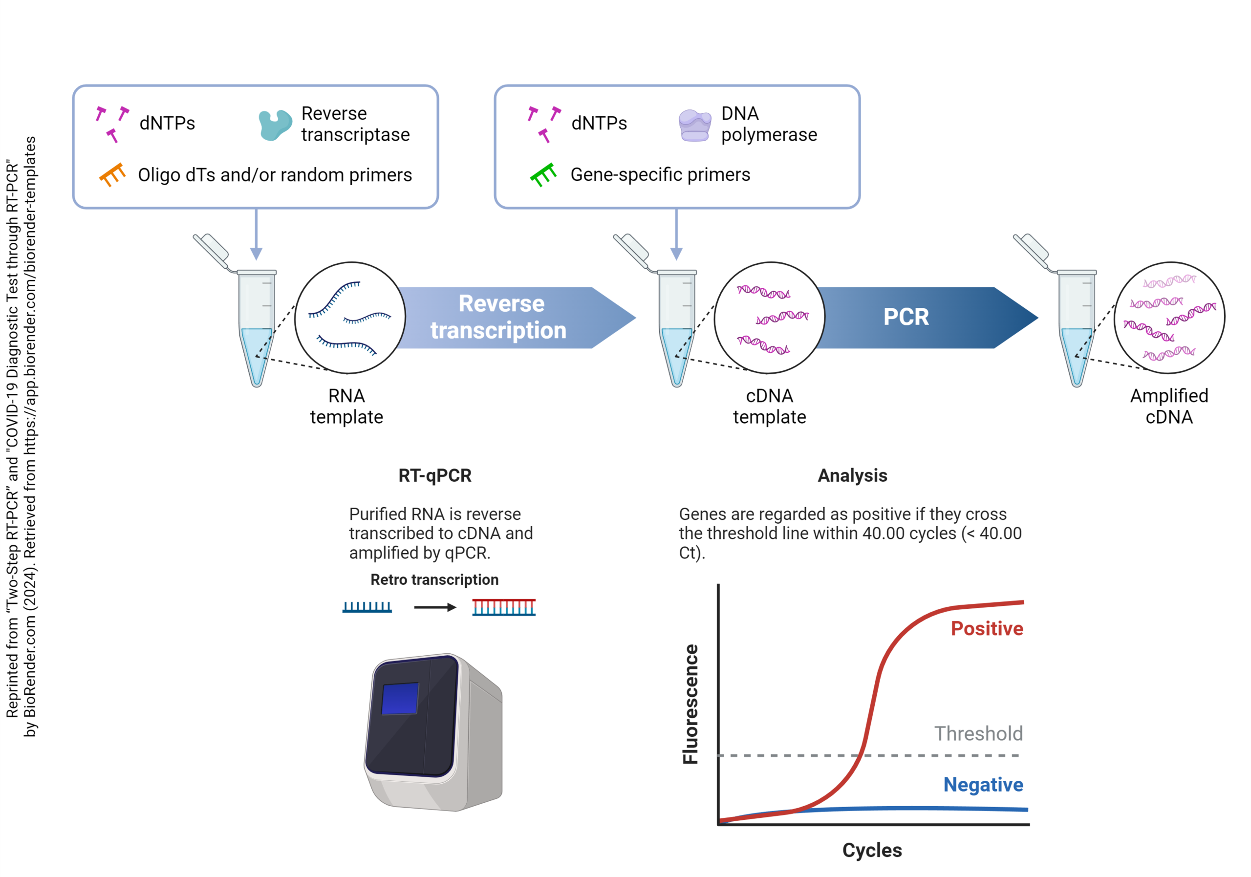 Diagram showing how quantitative RT-PCR is used to detect the level of specific mRNAs in neural tissue.