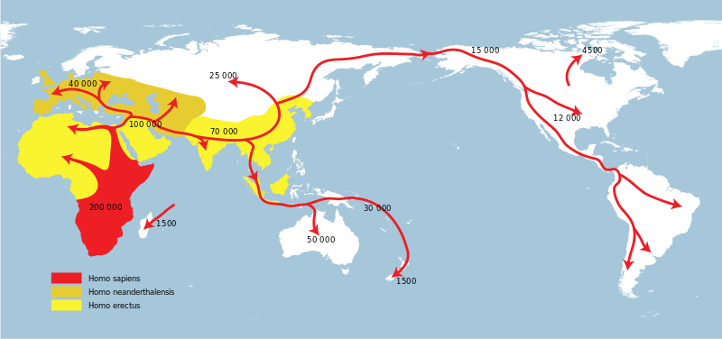 Map of migration of hominids out of Africa in prehistoric times
